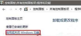 如何在Windows 10系统中打开Internet信息服务（IIS）